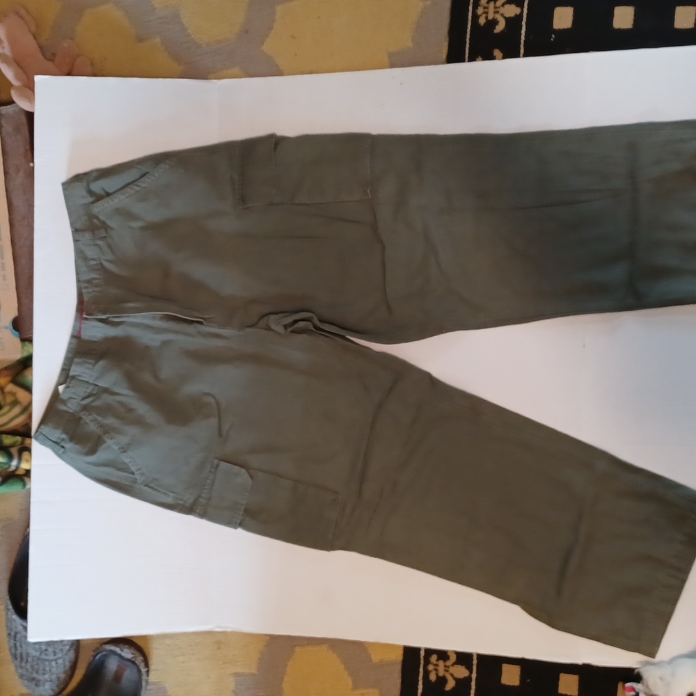 Brittanya  cargo slacks size 38 30